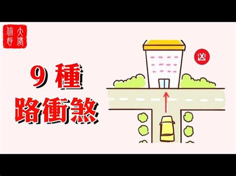 為何容易沖煞|沖煞背後的科學解釋